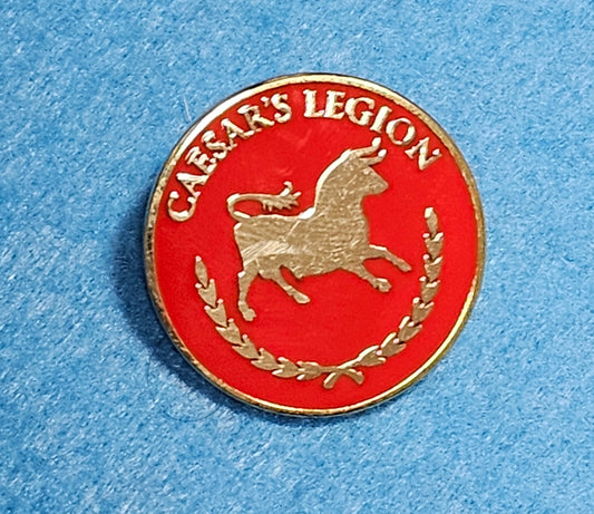 152: Fallout New Vegas Pin