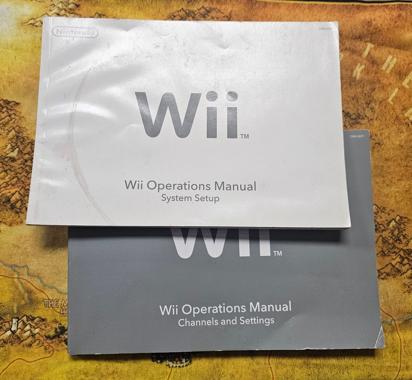 205: MANUAL Wii Console