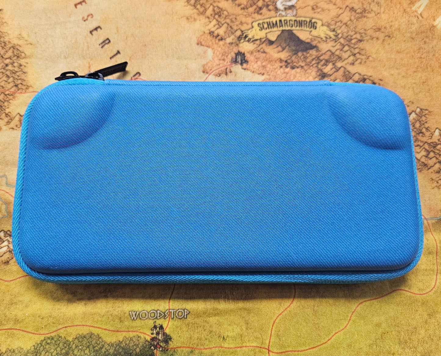 241: Switch Lite Case
