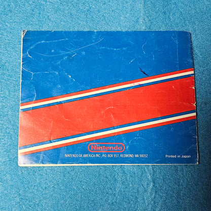 137: MANUAL: Ice Hockey - NES