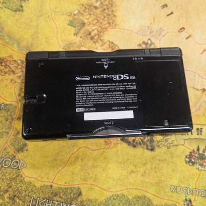 269: DS Lite
