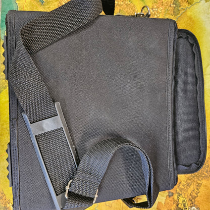 107: Wii Carrying Bag