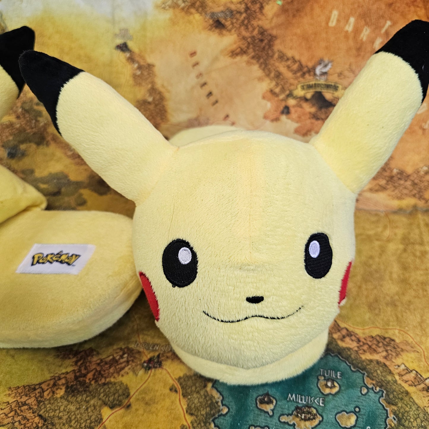 089: Pikachu Slippers