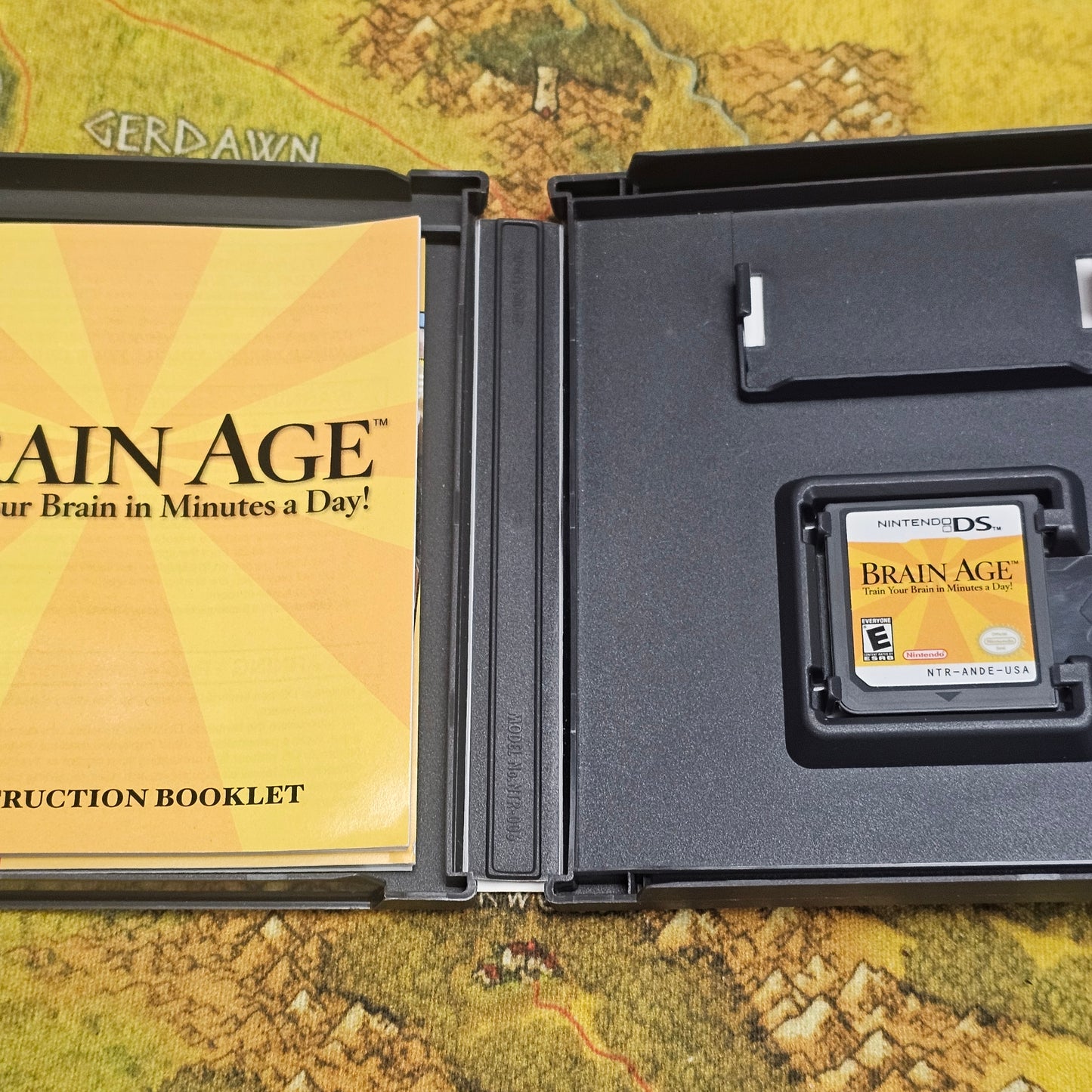 153: Brain Age - DS