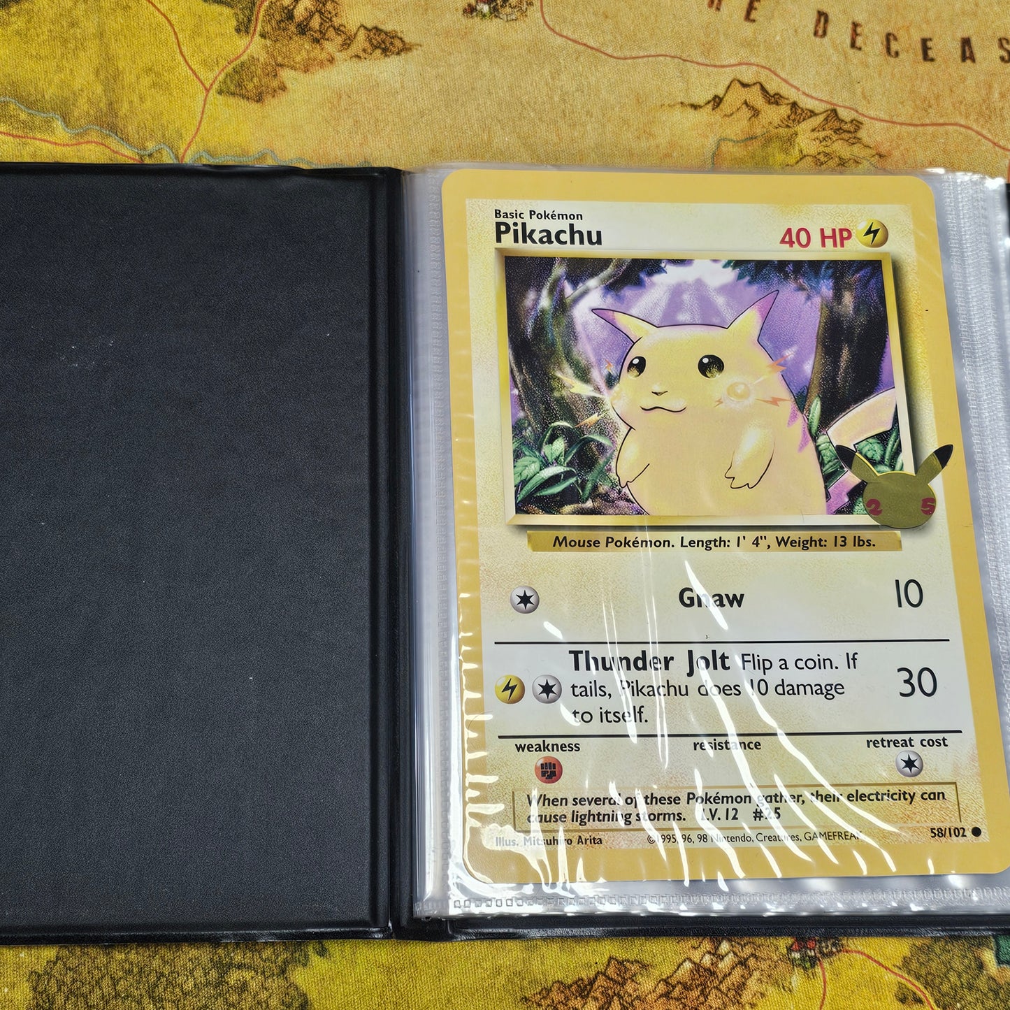 123: Pokemon Big Card Album