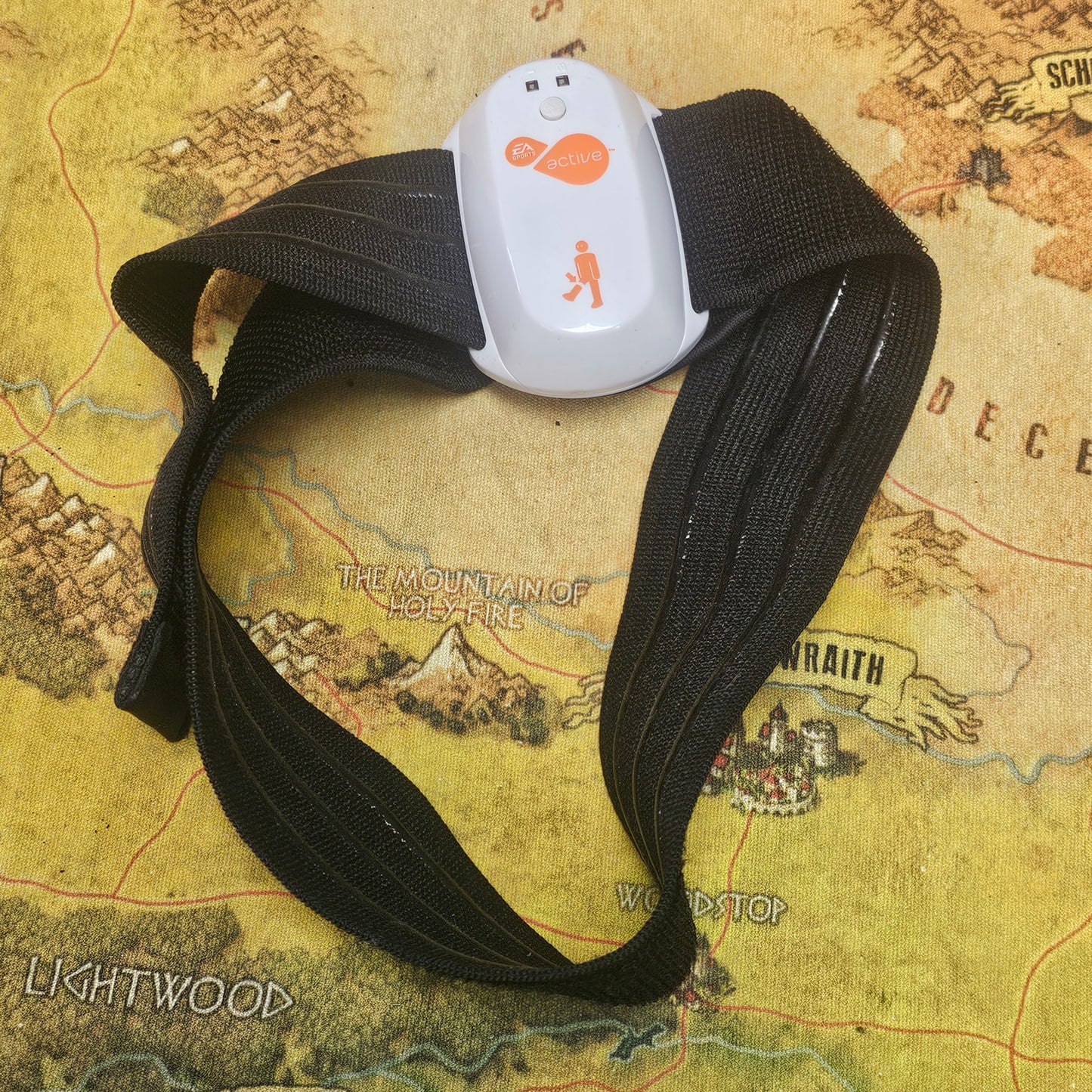 135: EA Sports Active 2 Legstrap