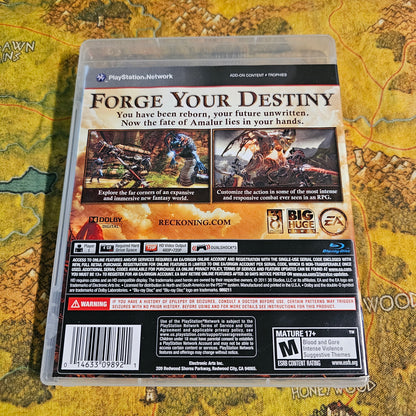 078: Kingdoms of Amalur: Reckoning - PS3