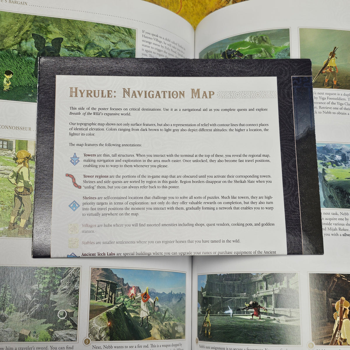 087: BOTW Official Guide