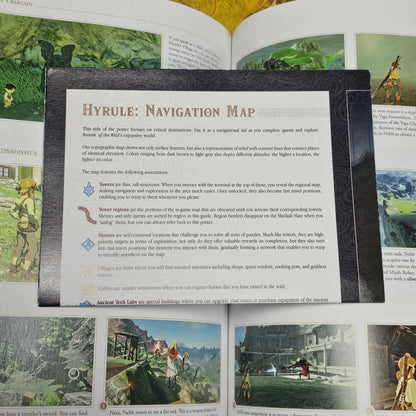 087: BOTW Official Guide