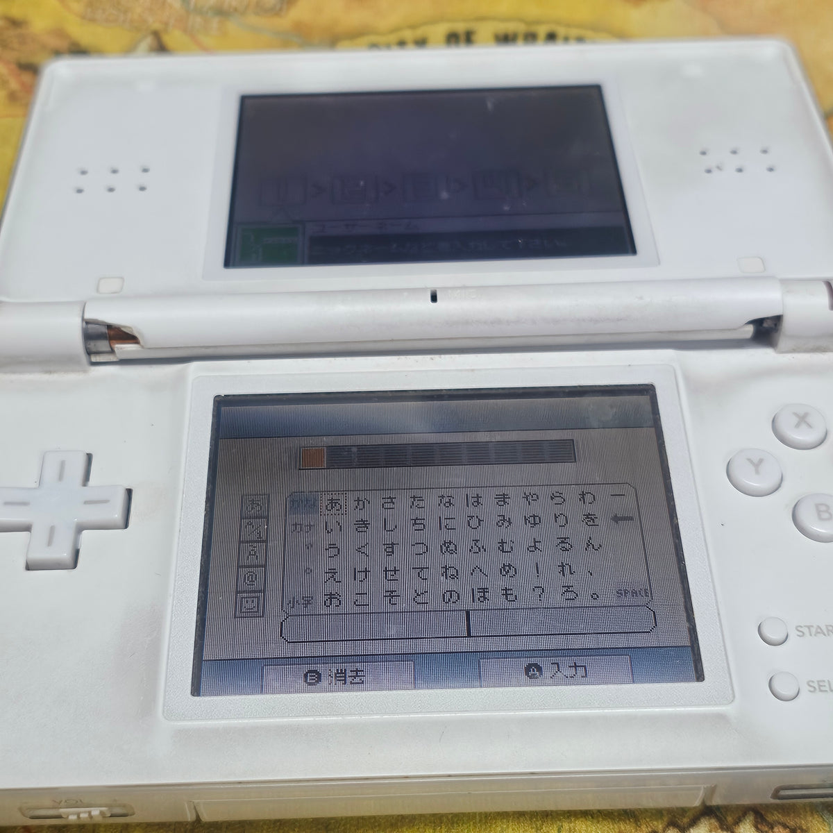 002: DS Lite (Japan Model)