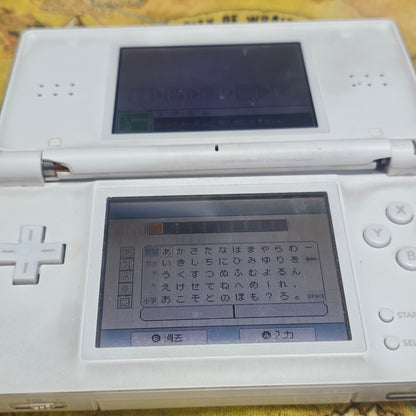 002: DS Lite (Japan Model)